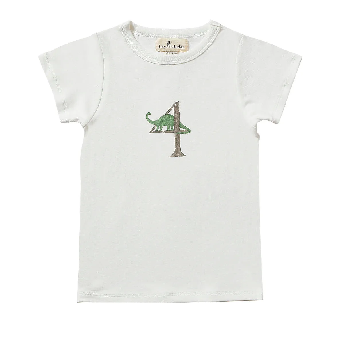 Dinosaur Birthday Shirts